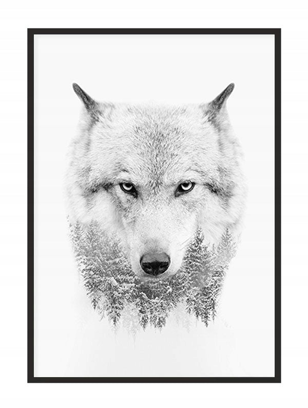 Plakat Wilk 33x43 cm  ForWalls.eu