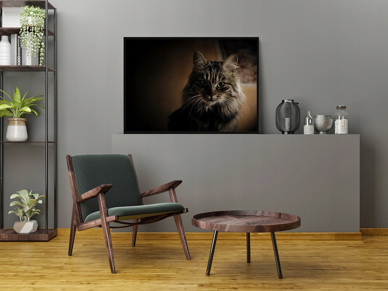 Plakat Kot 33x43 cm  ForWalls.eu