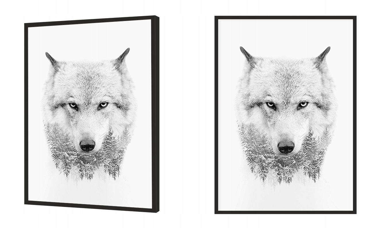 Plakat Wilk 33x43 cm  ForWalls.eu