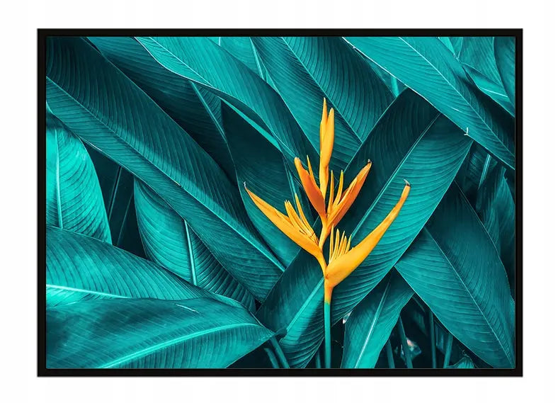 Plakat Liście 53x73 cm  ForWalls.eu