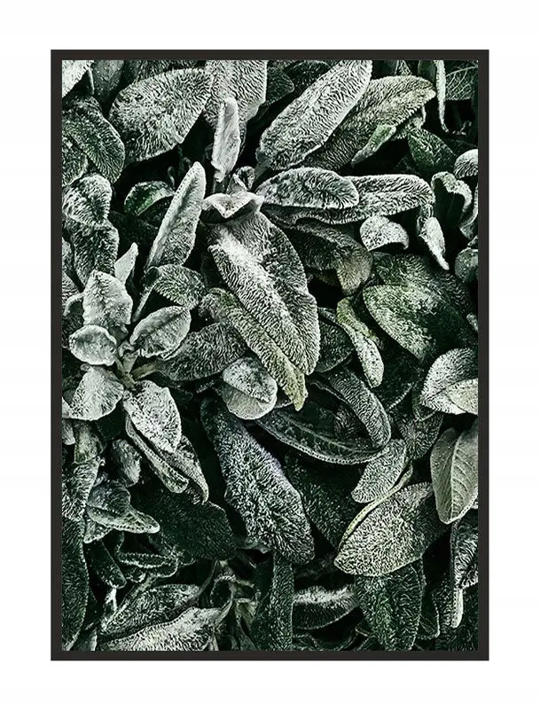 Plakat Liście 53x73 cm - ForWalls.eu