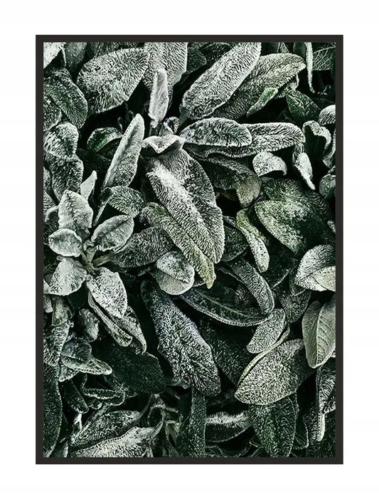 Plakat Liście 53x73 cm - ForWalls.eu