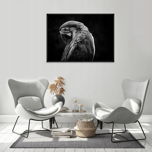 Plakat Papuga 33x43 cm  ForWalls.eu