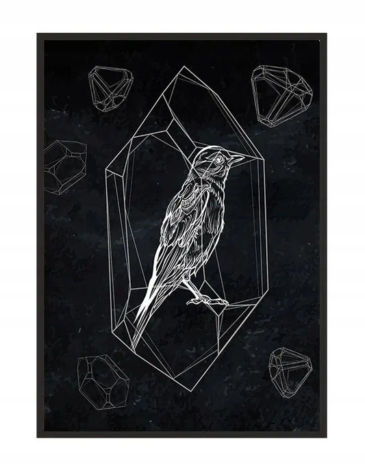 Plakat Ptak 53x73 cm  ForWalls.eu