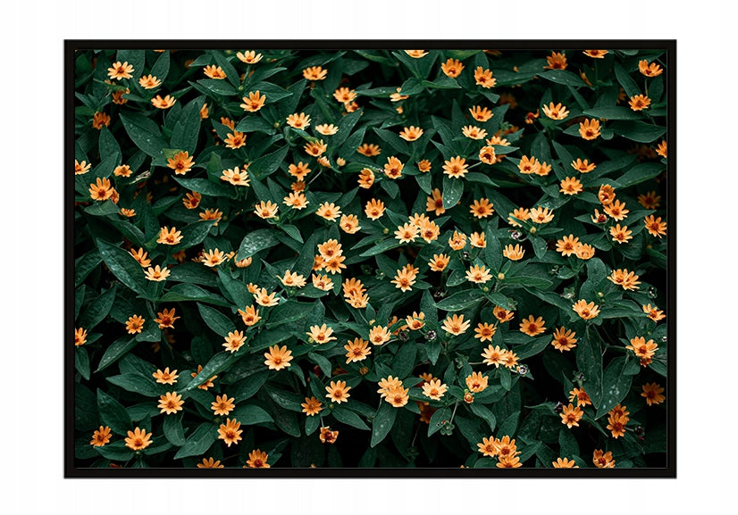 Plakat Kwiaty 33x43 cm  ForWalls.eu