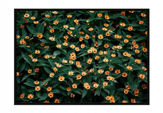 Plakat Kwiaty 33x43 cm  ForWalls.eu