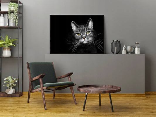 Plakat Kot 33x43 cm  ForWalls.eu