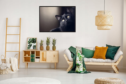 Plakat Kot 33x43 cm  ForWalls.eu