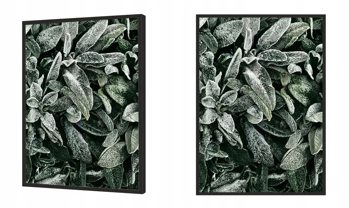 Plakat Liście 53x73 cm - ForWalls.eu