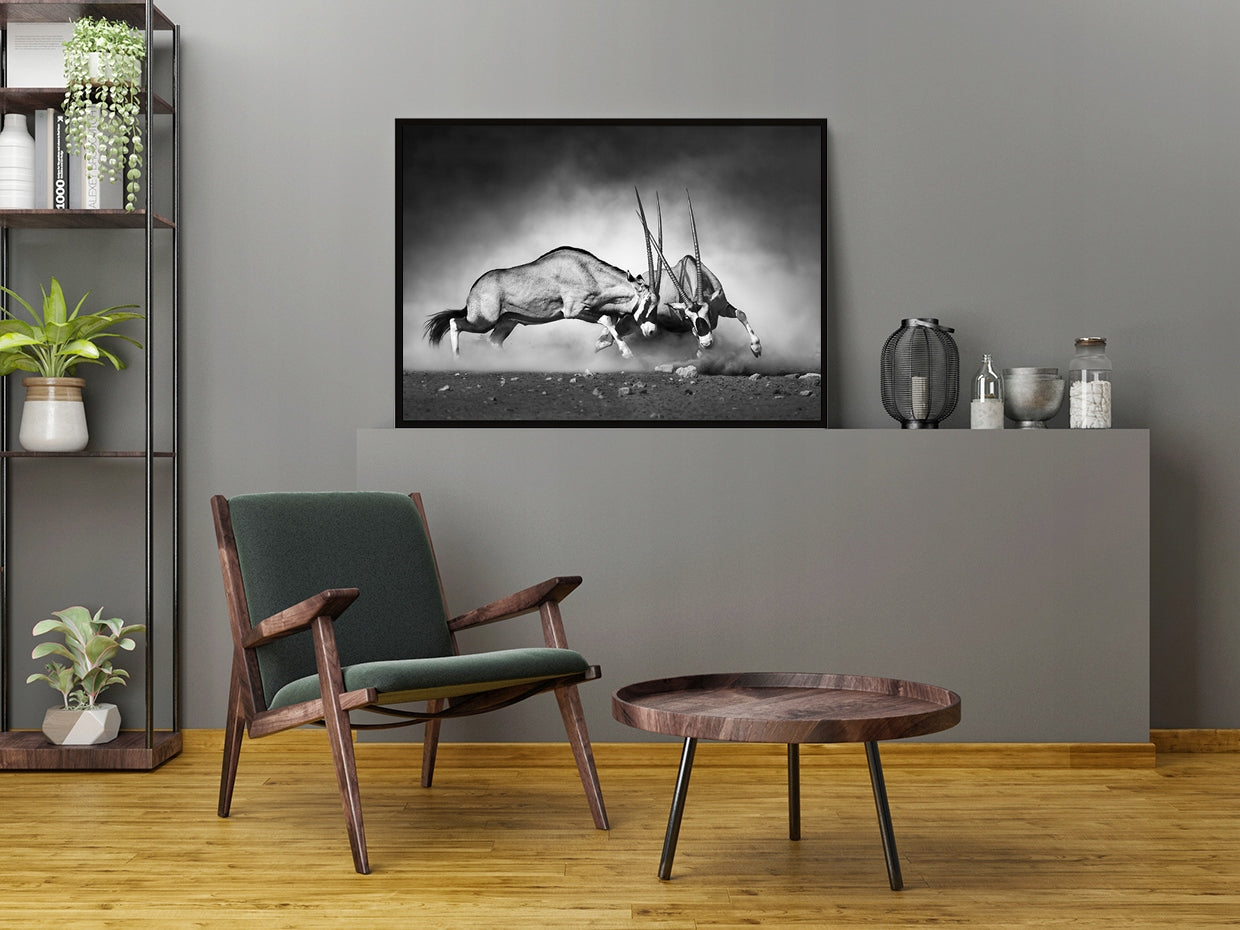 Plakat Antylopy 33x43 cm  ForWalls.eu
