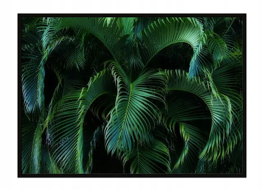 Plakat Liście 53x73 cm  ForWalls.eu