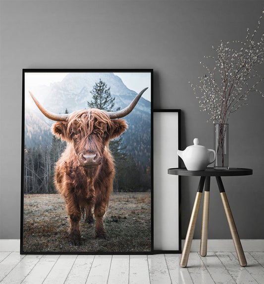 Plakat Highlander Cow 33x43 cm  ForWalls.eu