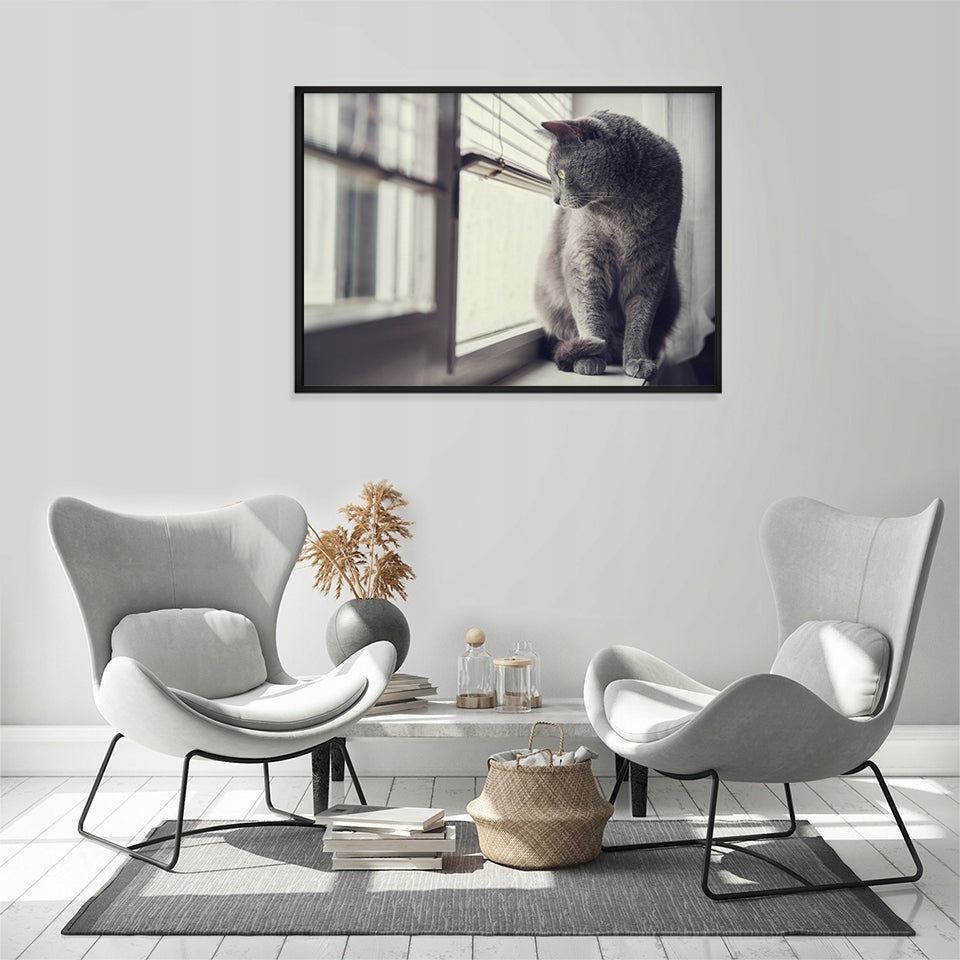 Plakat Kot 33x43 cm  ForWalls.eu