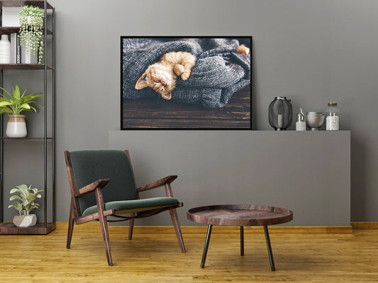 Plakat Kot 33x43 cm  ForWalls.eu