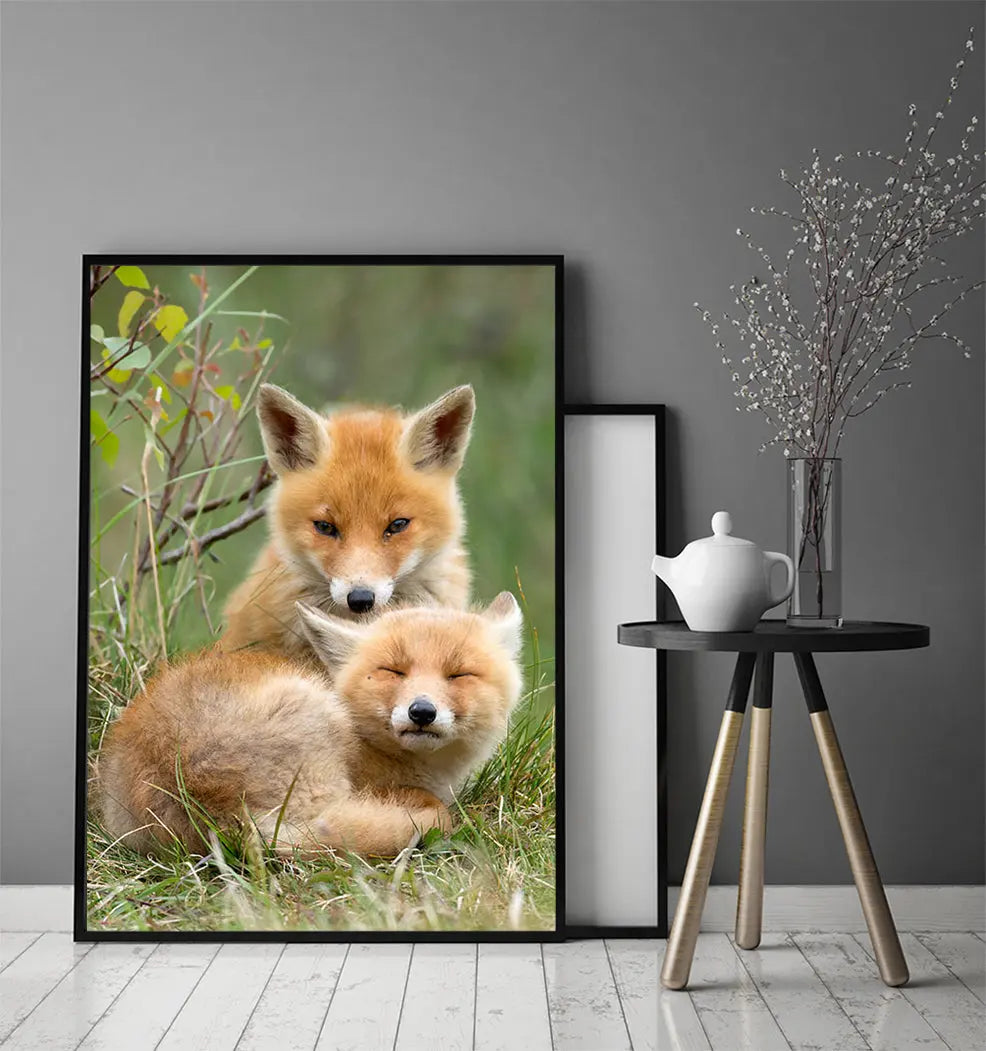 Plakat Liski 33x43 cm - ForWalls.eu