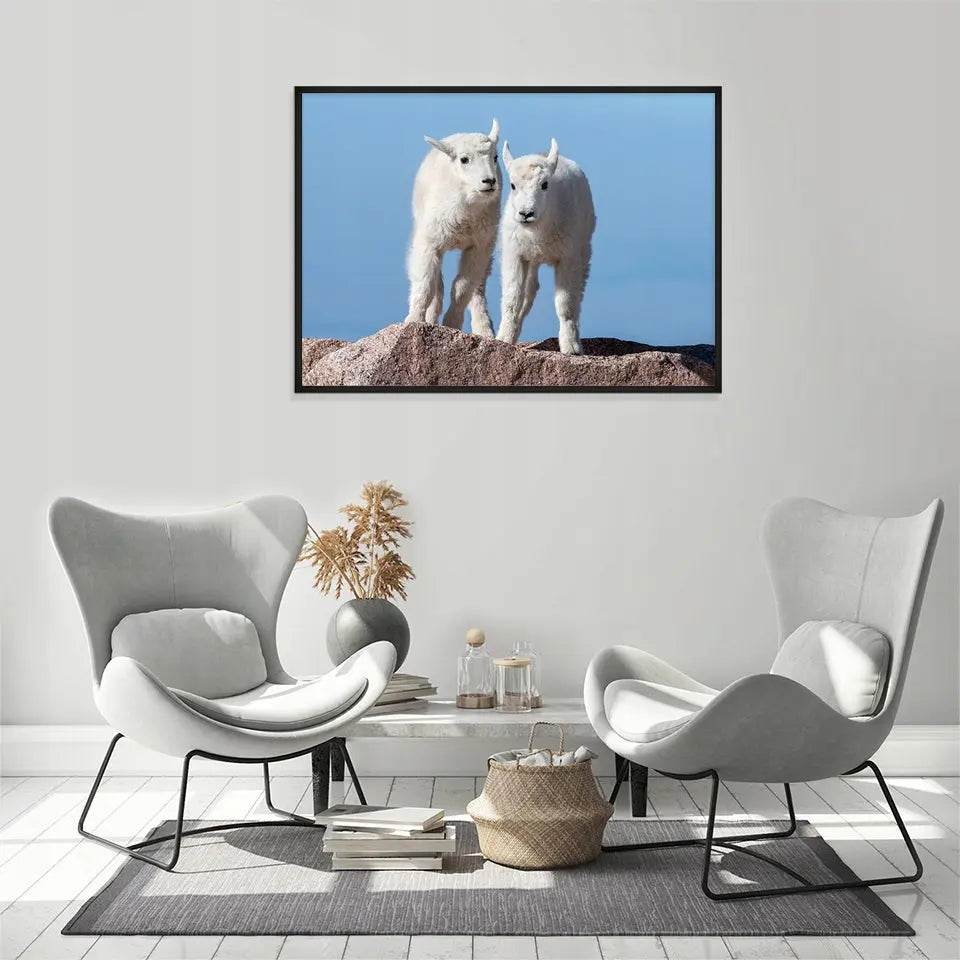 Plakat  33x43 cm  ForWalls.eu