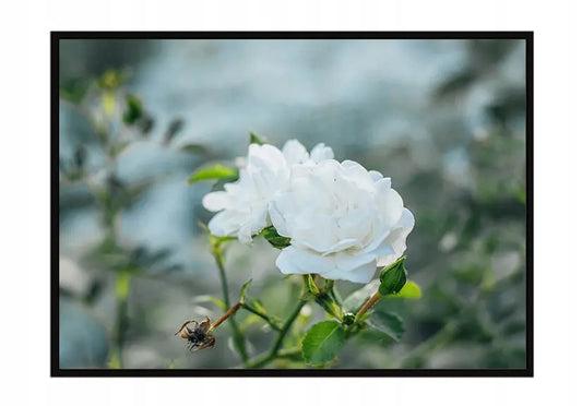 Plakat Kwiaty 53x73 cm  ForWalls.eu