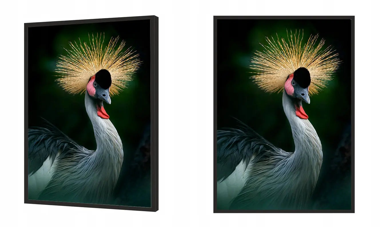 Plakat Ptak 33x43 cm  ForWalls.eu