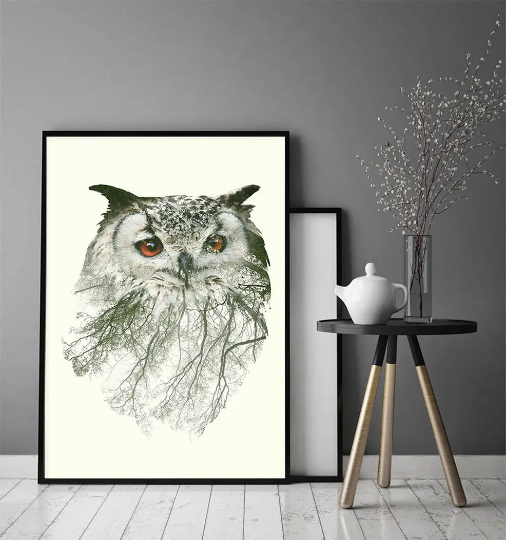 Plakat Sowa 33x43 cm - ForWalls.eu