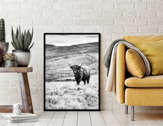 Plakat Krowa Highlander 33x43 cm  ForWalls.eu