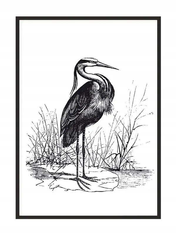 Plakat Czapla 33x43 cm - ForWalls.eu