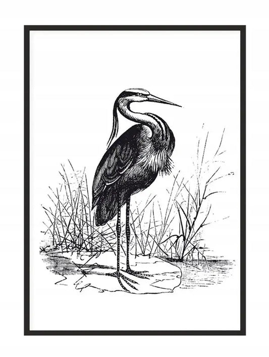 Plakat Czapla 33x43 cm - ForWalls.eu
