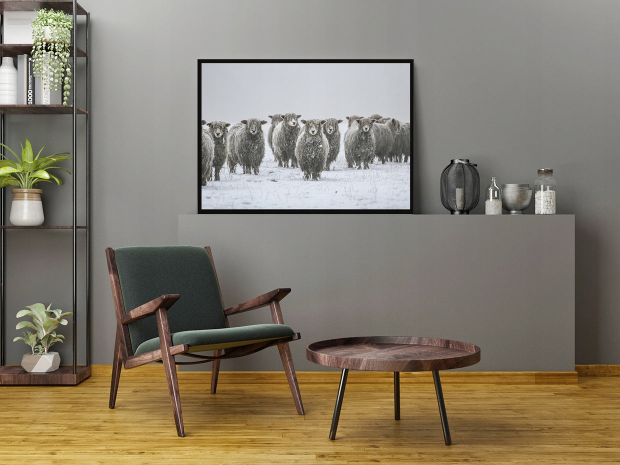 Plakat Owce 33x43 cm  ForWalls.eu