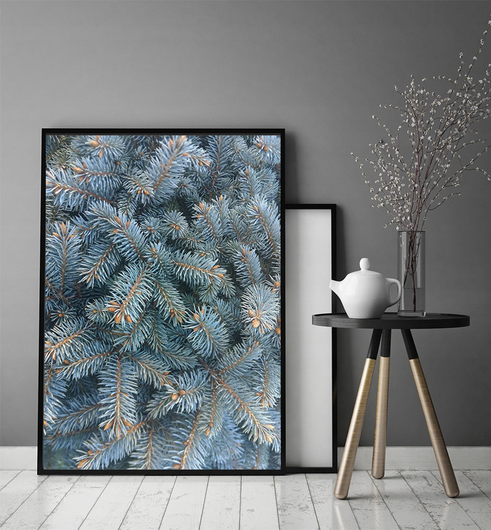 Plakat Choinka 33x43 cm  ForWalls.eu
