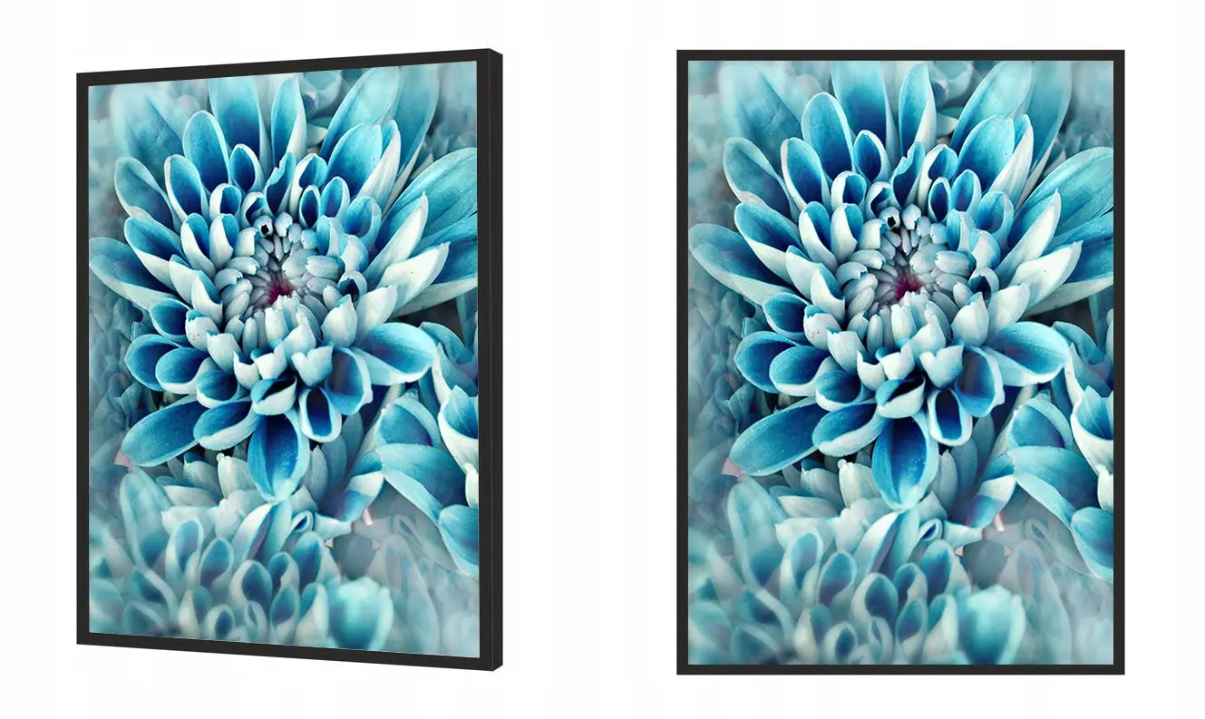 Plakat Kwiaty 33x43 cm  ForWalls.eu