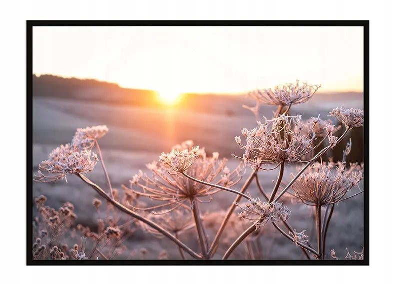 Plakat Kwiaty 53x73 cm  ForWalls.eu