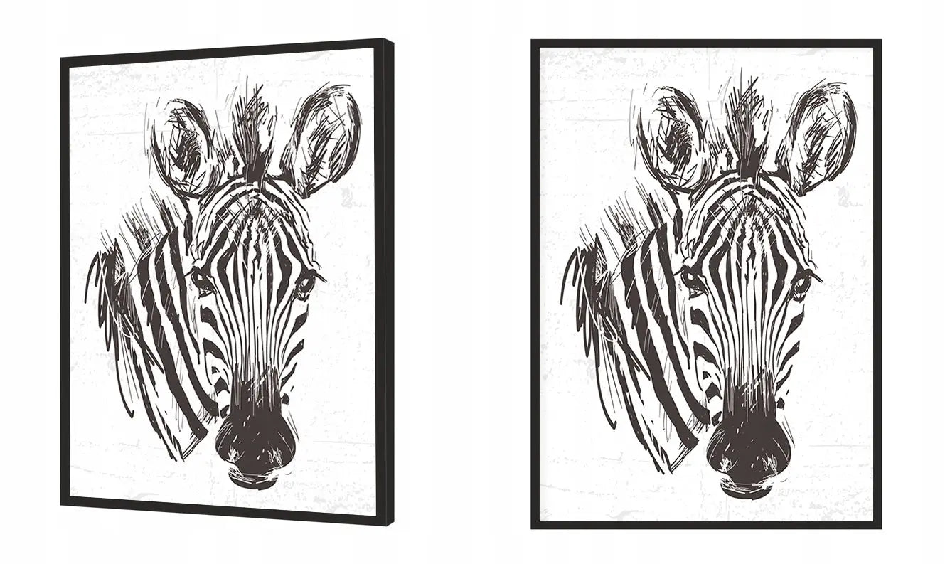 Plakat Zebra 33x43 cm - ForWalls.eu