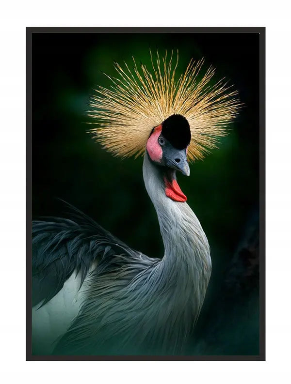 Plakat Ptak 33x43 cm  ForWalls.eu