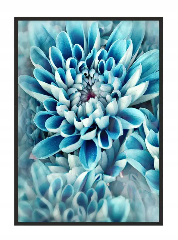 Plakat Kwiaty 33x43 cm  ForWalls.eu