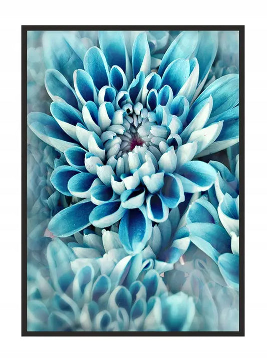 Plakat Kwiaty 33x43 cm  ForWalls.eu
