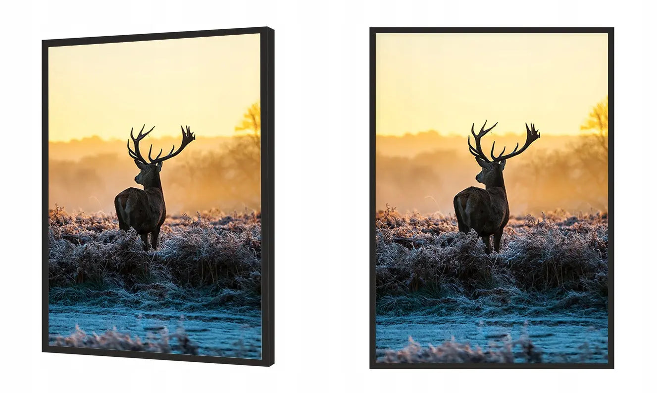 Plakat Jeleń 53x73 cm  ForWalls.eu