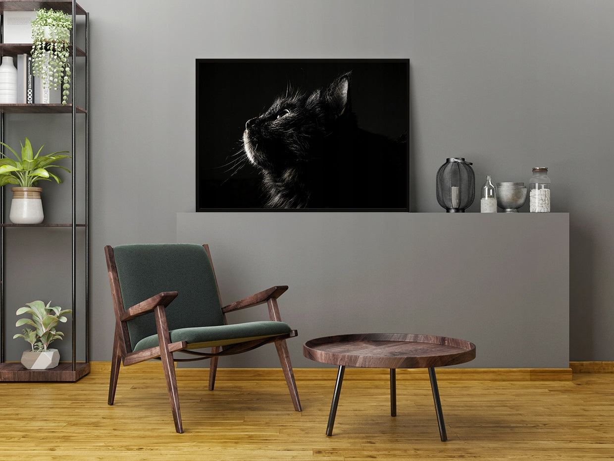 Plakat Kot 33x43 cm  ForWalls.eu