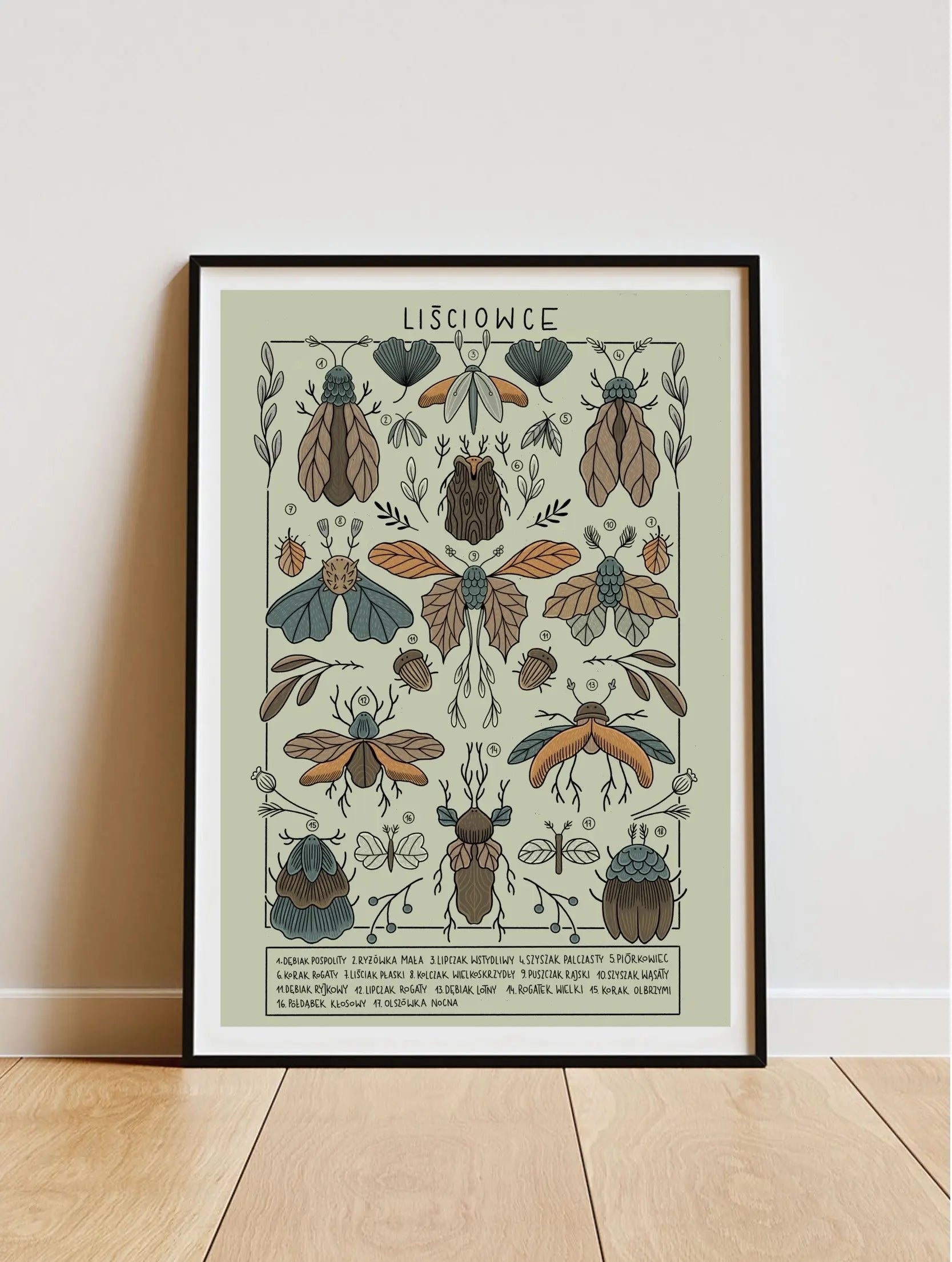 ForWalls.eu - Plakat Liściowce - Framed poster with detailed illustrations of various brown, orange, and blue beetles on light beige background labeled. - Luiza Kwiatkowska, plakat, print