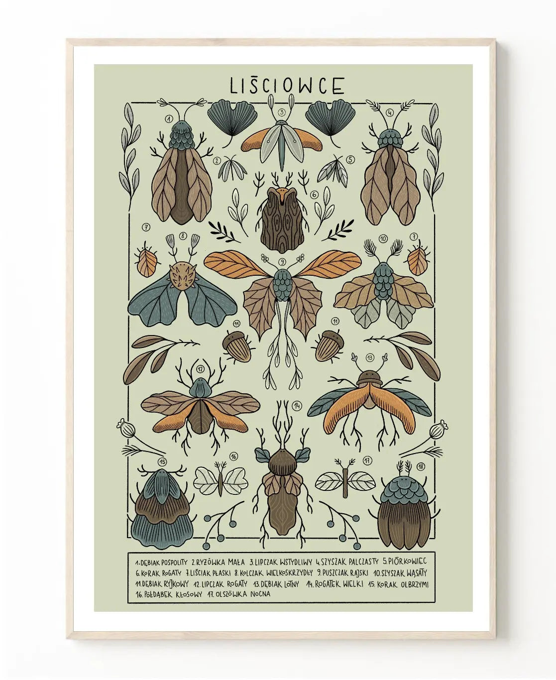 ForWalls.eu - Plakat Liściowce - Minimalist botanical illustration poster featuring symmetrical arrangement of detailed flying insects on pale green. - Luiza Kwiatkowska, plakat, print