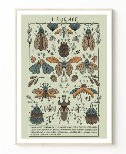 ForWalls.eu - Plakat Liściowce - Minimalist botanical illustration poster featuring symmetrical arrangement of detailed flying insects on pale green. - Luiza Kwiatkowska, plakat, print