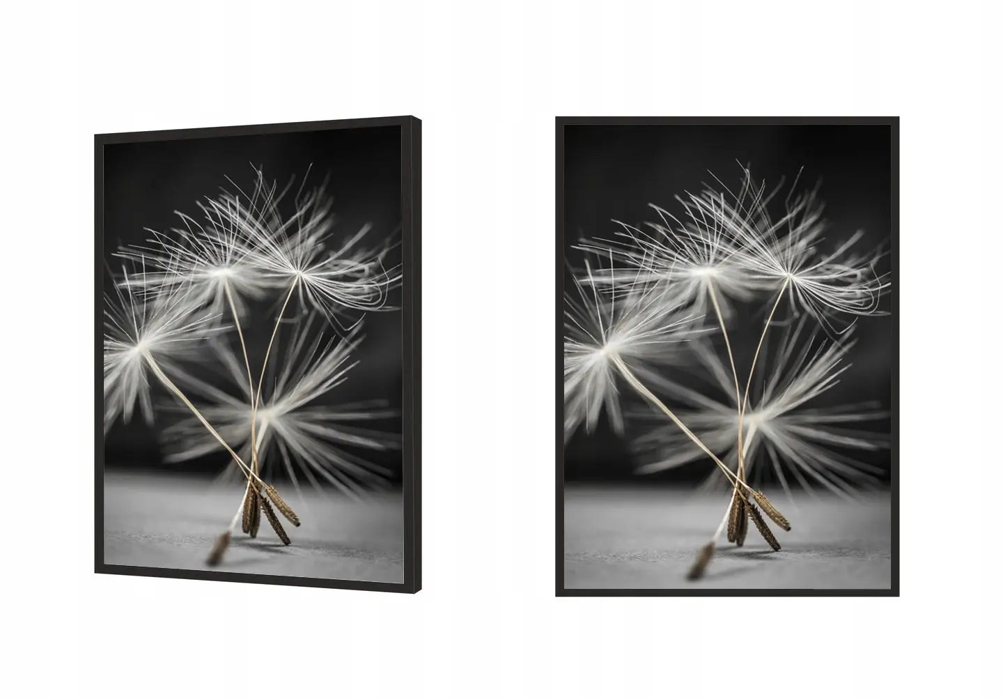 Plakat 53x73 cm Dmuchawiec 53x73 cm - ForWalls.eu