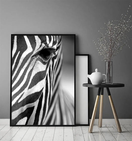 Plakat Zebra 33x43 cm - ForWalls.eu