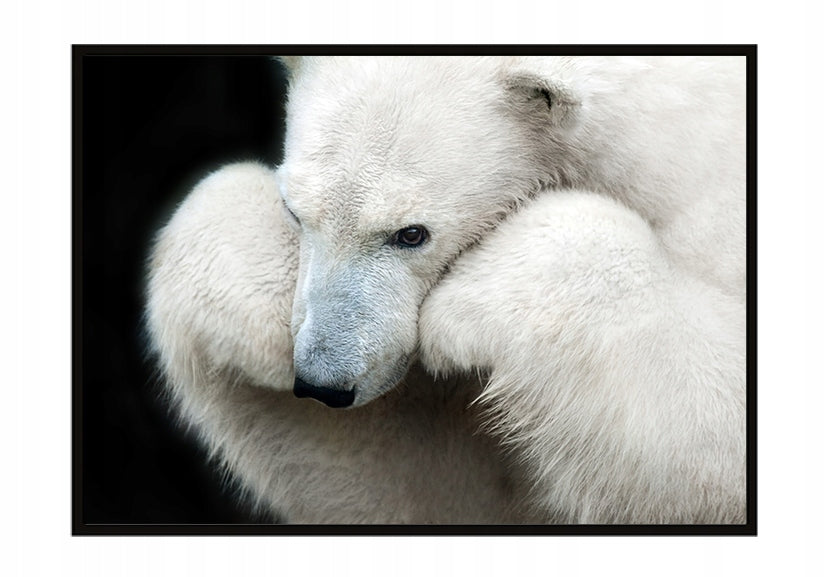Plakat Niedźwiedź 33x43 cm  ForWalls.eu