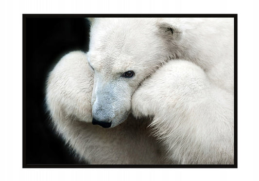 Plakat Niedźwiedź 33x43 cm  ForWalls.eu