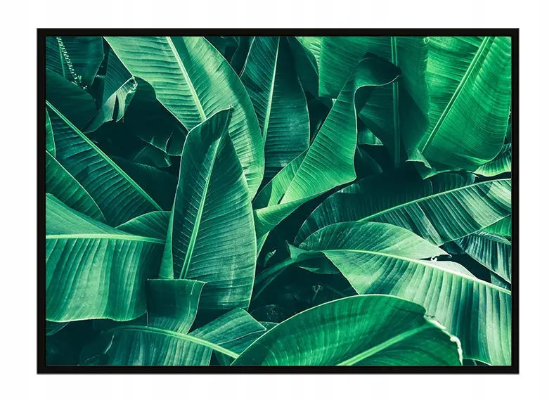 Plakat Liście 53x73 cm  ForWalls.eu