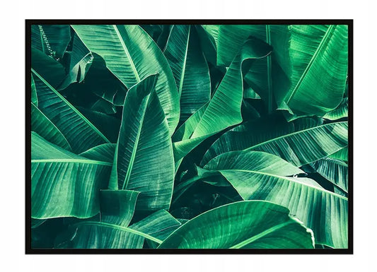 Plakat Liście 53x73 cm  ForWalls.eu