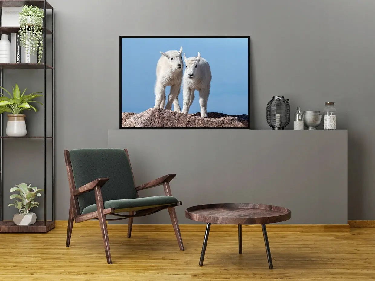 Plakat  33x43 cm  ForWalls.eu