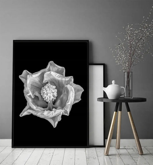 Plakat Kwiat 53x73 cm  ForWalls.eu