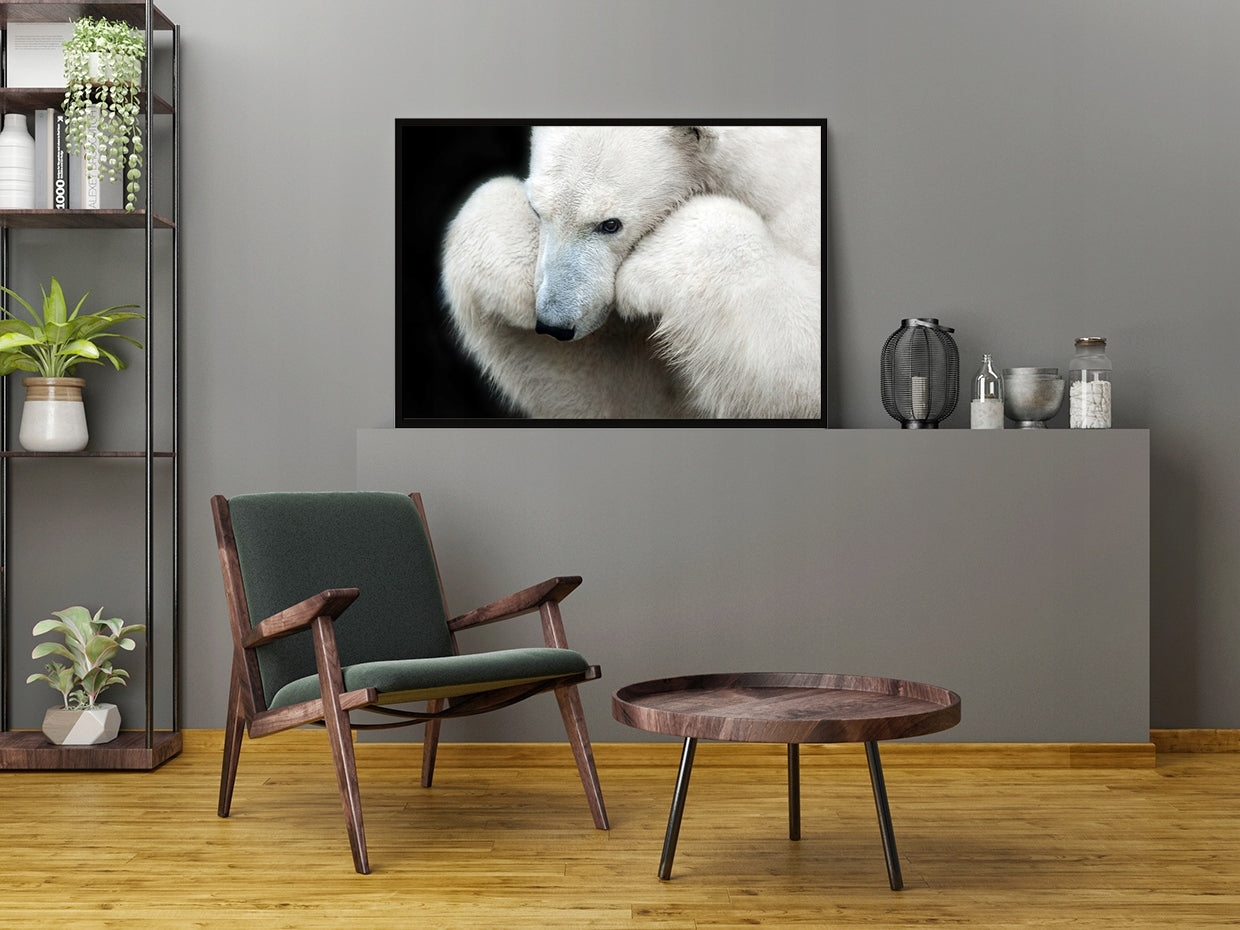 Plakat Niedźwiedź 33x43 cm  ForWalls.eu