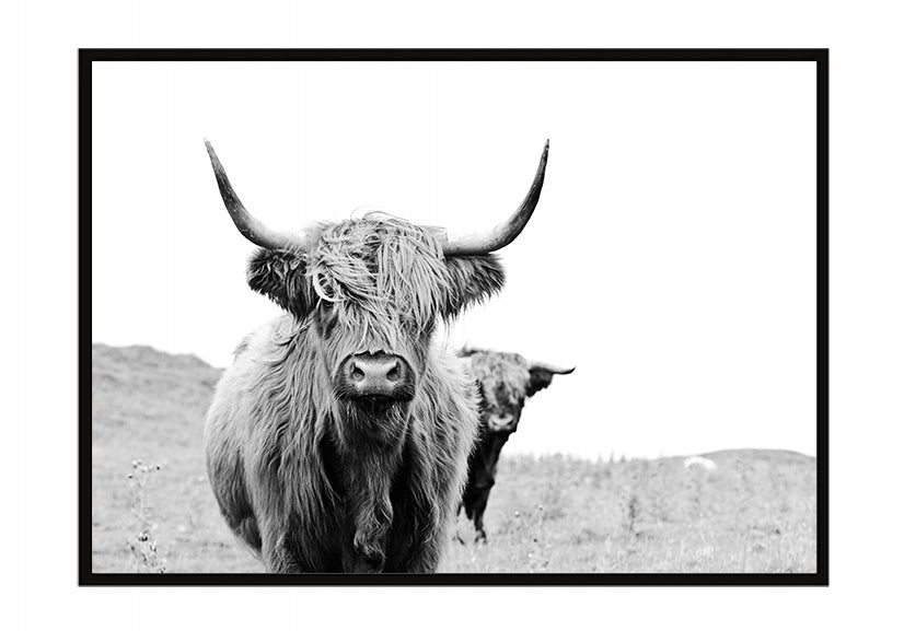 Plakat Highlander 33x43 cm  ForWalls.eu