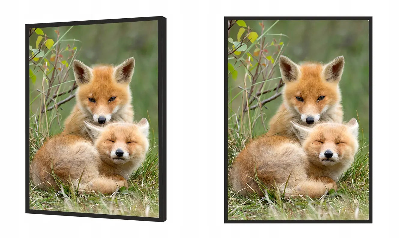 Plakat Liski 33x43 cm - ForWalls.eu